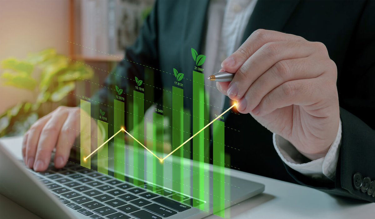 Scale Up! How to Accelerate Sustainable Business Growth