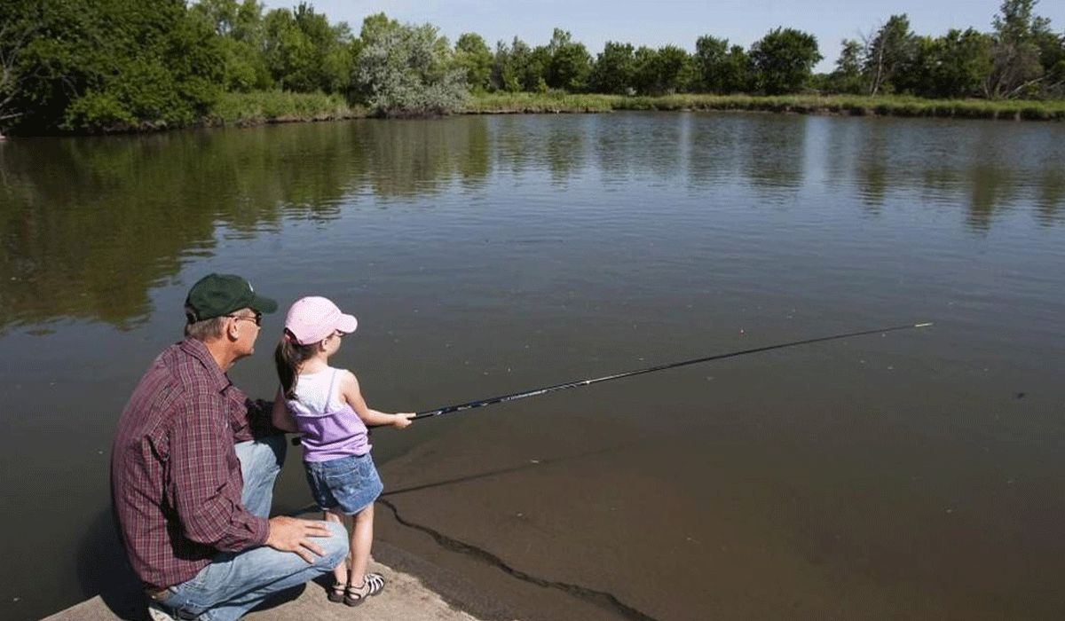 Free and Low-Cost Activities