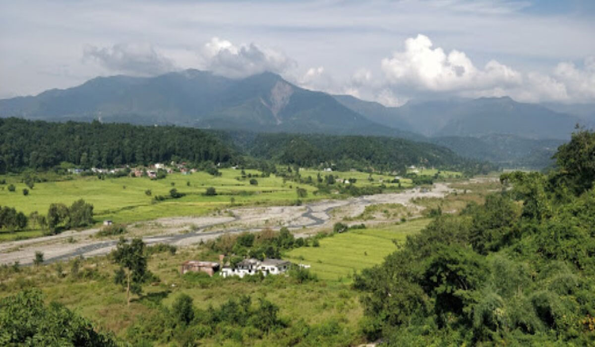 Reconnect With Nature